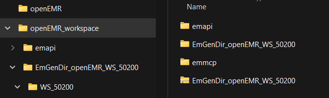 openEMR_workspace.png